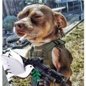 Meet your Posher, Terry